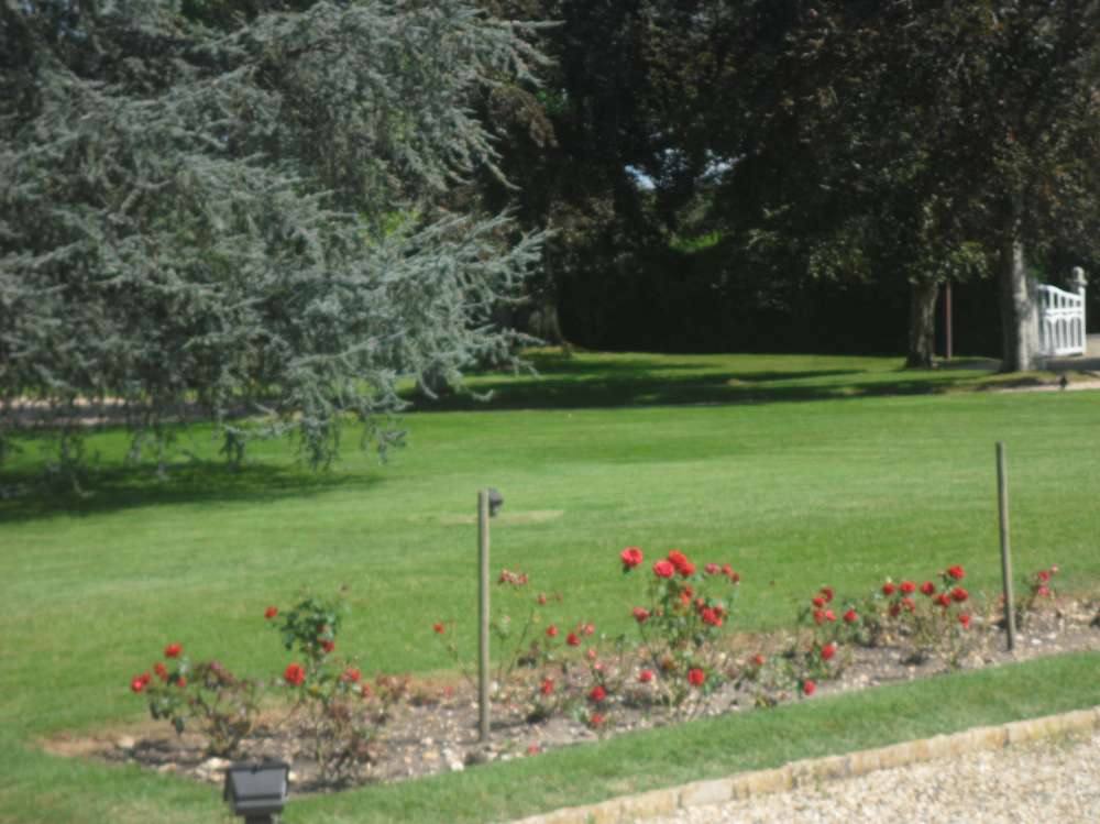 Entretien de parcs