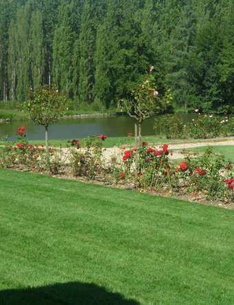 Entretien de parcs