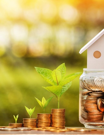Réduire ses impôts grâce aux travaux de jardin