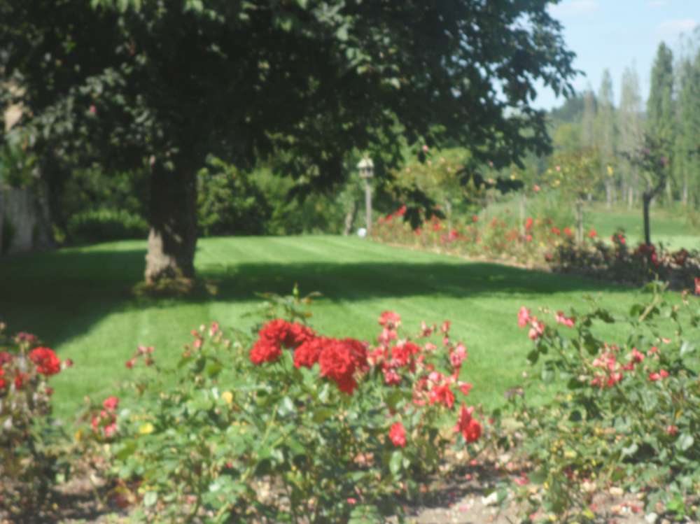 Entretien de parcs
