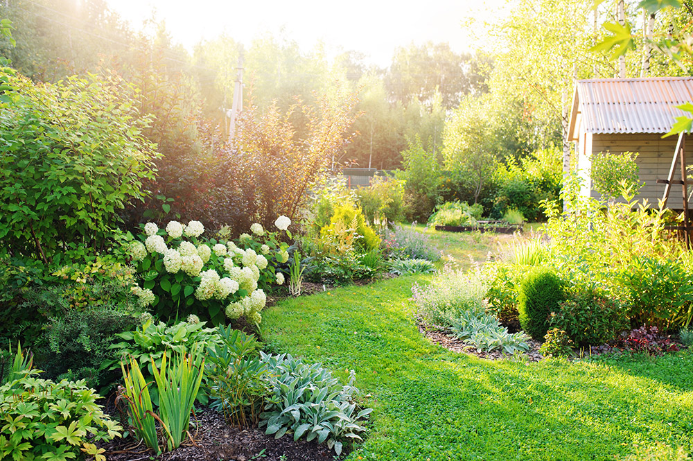 Aménagement de jardin autour d'une cabane